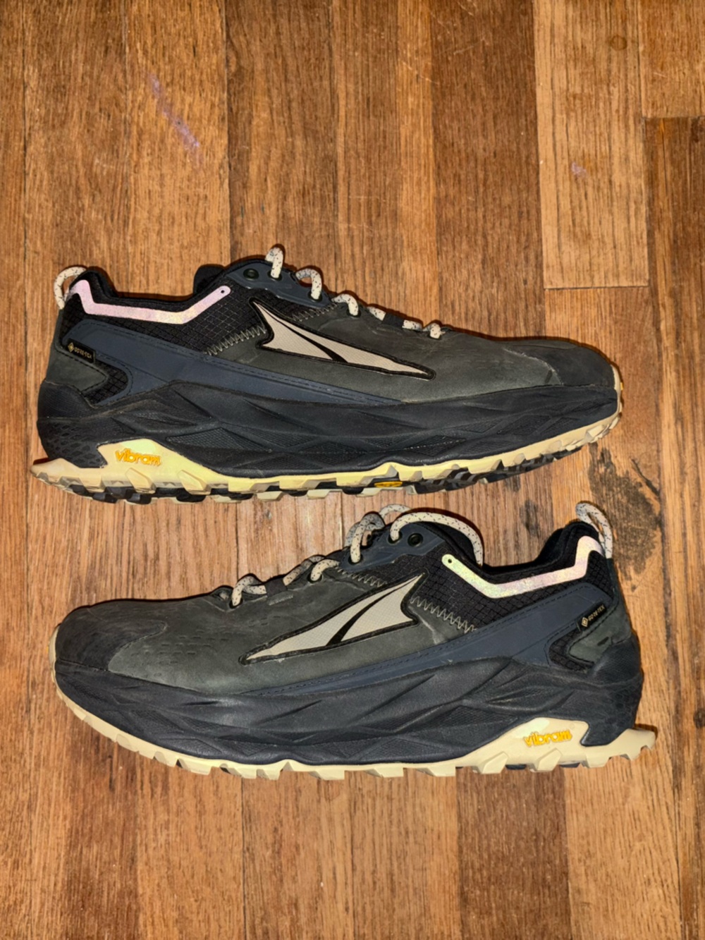 Olympus 5 Hike Low GTX